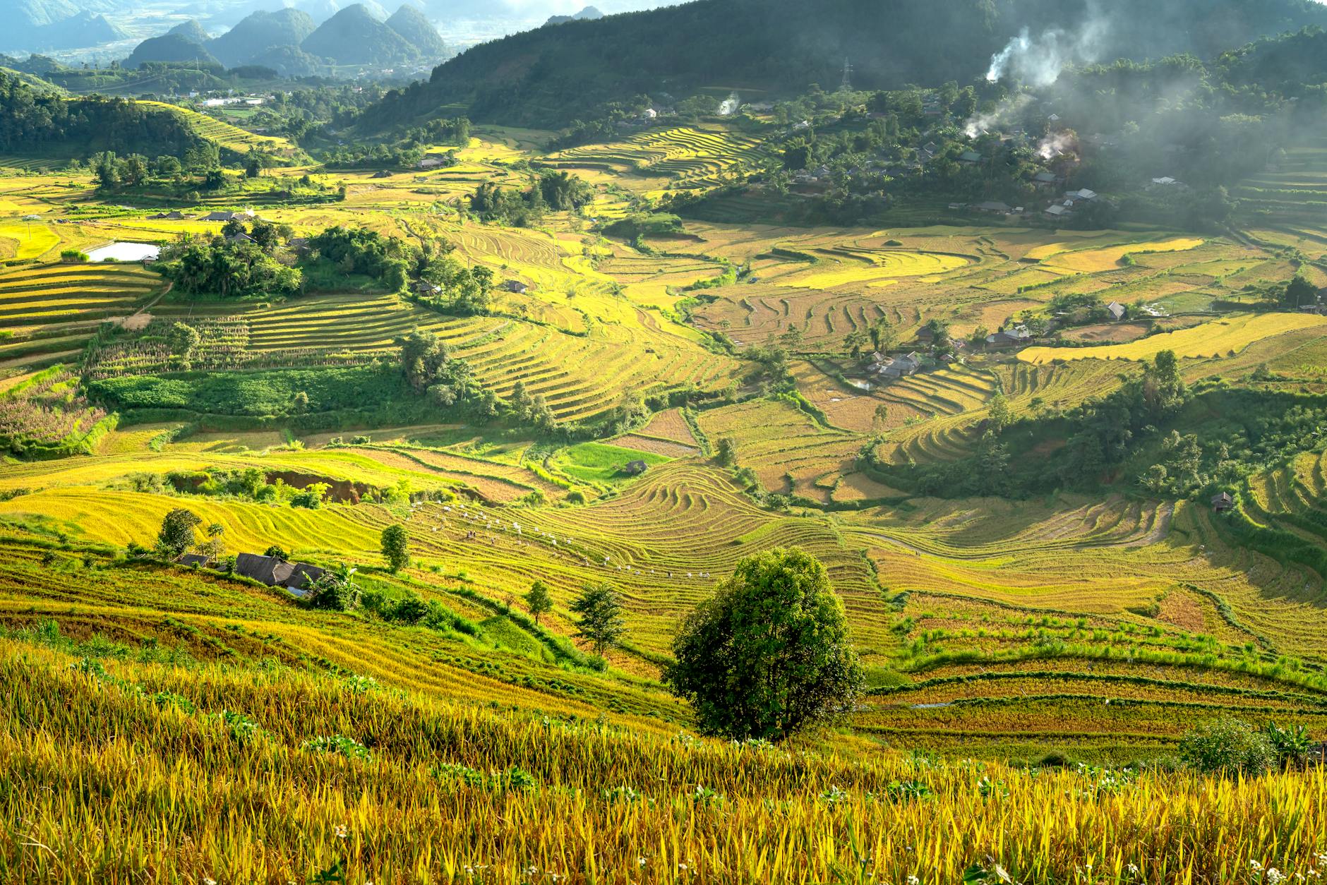 Rediscovering Fluid Motion: Expert Solutions for Chronic Joint Stiffness at Bali Orthopaedic