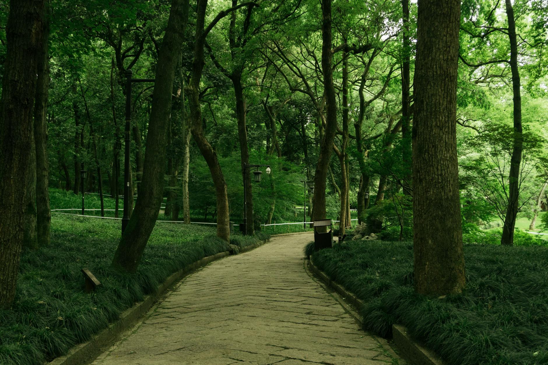 Your Journey to Neurological Recovery: Expert Care and Compassion at Bali Orthopaedic